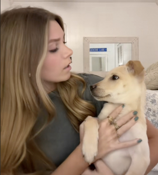 Illustration de l'article : En voyant un chiot être jeté d’une voiture en marche, une jeune femme horrifiée sait parfaitement comment réagir (vidéo)