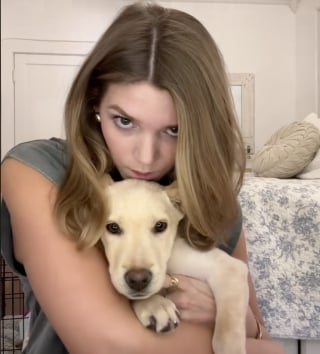 Illustration de l'article : En voyant un chiot être jeté d’une voiture en marche, une jeune femme horrifiée sait parfaitement comment réagir (vidéo)