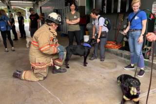 Illustration de l'article : Des futurs chiens guides d'aveugles se font des amis parmi les pompiers en passant un après-midi mémorable à la caserne