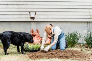 Illustration de l'article : 13 conseils qui vous permettront d’avoir une relation fusionnelle avec votre chien