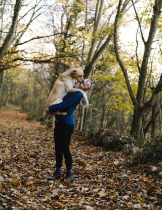 Illustration de l'article : 10 indices montrant que votre chien modifie subtilement votre quotidien