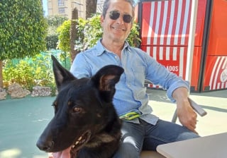 Illustration de l'article : Un usager surpris de croiser un chien seul dans le train se donne pour mission de le retrouver et de lui offrir une vie heureuse