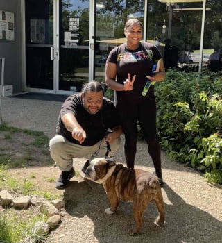 Illustration de l'article : Après 4 années de disparition, des propriétaires découvrent que leur chien se trouve à plus de 1600 kilomètres du domicile familial