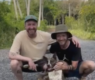 Illustration de l'article : « Complètement brisée » et après une longue phase de rémission, une chienne utilisée par le passé pour les combats rencontre son papa pour toujours (vidéo)
