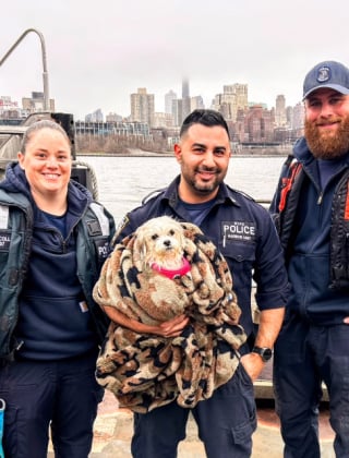 Illustration de l'article : Un policier au grand cœur sauve un chien de la noyade et bien plus encore