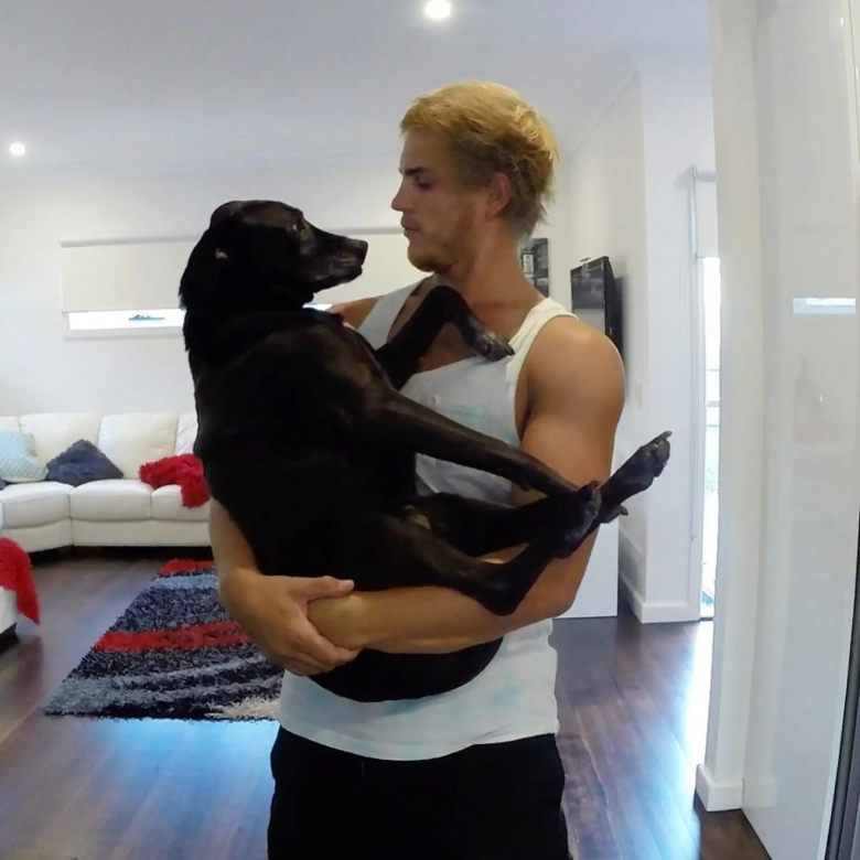 Illustration de l'article : Un couple sur le point de dire adieu à son chien de 19 ans fait de lui la star du mariage (vidéo)