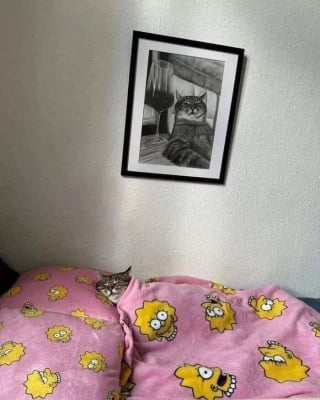Illustration de l'article : 15 photos d’animaux bien trop mignonnes ou drôles pour ne pas être partagées