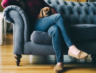 Illustration de l'article : 9 indices qui prouvent que votre chien vous considère comme son propre chiot