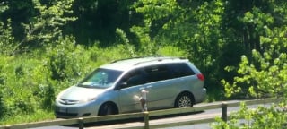 Illustration de l'article : L'abandon d'une chienne par un automobiliste qu'elle tente désespérément de rejoindre brise le coeur d'un témoin qui alerte les secours