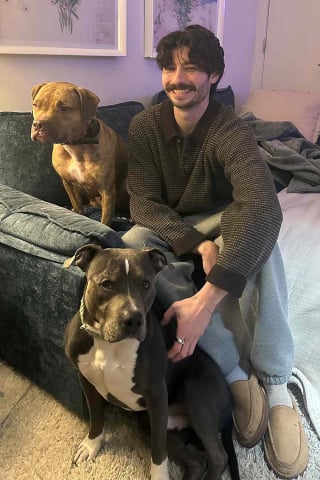 Illustration de l'article : 36 heures après avoir été enlevé, puis retrouvé seul dans un parc, ce Pitbull retrouve son maître grâce à l’immense générosité de 2 bienfaiteurs (vidéo)