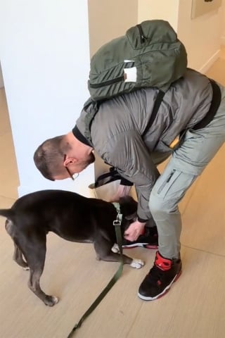Illustration de l'article : 36 heures après avoir été enlevé, puis retrouvé seul dans un parc, ce Pitbull retrouve son maître grâce à l’immense générosité de 2 bienfaiteurs (vidéo)