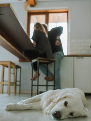 Illustration de l'article : Après 18 mois de relation, son compagnon lui demande d’abandonner son fils et son chien avant d’emménager avec elle