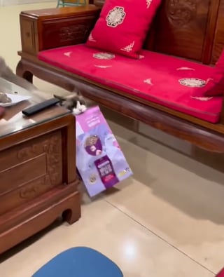 Illustration de l'article : Quand sa gamelle est vide, cette chatte descend les escaliers à toute allure avec un sac de croquettes dans la bouche (vidéo)