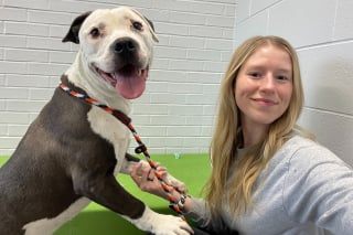 Illustration de l'article : À force de patience et de bienveillance, cette chienne abandonnée tremblant dès qu’on l’approchait a retrouvé confiance en l’humanité (vidéo)