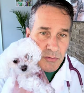 Illustration de l'article : En refusant d’euthanasier une chienne malade, ce vétérinaire au grand cœur a pris la plus belle décision de sa vie (vidéo)