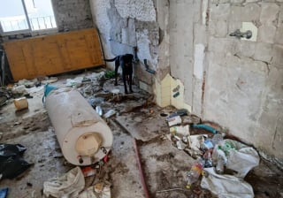 Illustration de l'article : La découverte de 3 chiens dans une maison délabrée permet à l'un d'eux de rentrer chez lui après 2 années de disparition