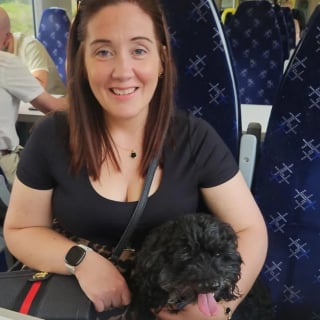 Illustration de l'article : Une chienne monte dans un train et s'invite à une sortie entre amies à l'insu de sa famille