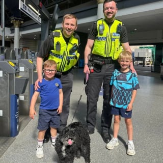 Illustration de l'article : Une chienne monte dans un train et s'invite à une sortie entre amies à l'insu de sa famille