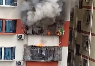 Illustration de l'article : Grâce à son instinct de survie, ce chat reste accroché plus 10 minutes aux barreaux du balcon (vidéo)