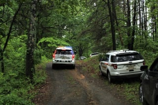 Illustration de l'article : Une chienne de 11 ans sauve un garçon de 4 ans perdu en forêt grâce à son flair et ses aboiements insistants