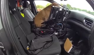 Illustration de l'article : L'imprudence d'un chien s'aventurant sur une autoroute déclenche l'intervention courageuse d'un policier (vidéo)