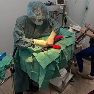 Illustration de l'article : Un chat errant à 6 pattes, hospitalisé pour retirer ses membres en trop, attend désormais sa famille pour la vie