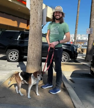 Illustration de l'article : Abandonné pour la deuxième fois à l'âge de 12 ans, ce vieux Beagle trouve paix et amour dans un nouveau foyer