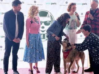 Illustration de l'article : La Palm Dog 2025 dévoilera le lauréat qui succèdera à Kodi le 23 mai prochain à Cannes