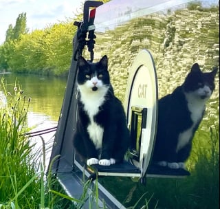 Illustration de l'article : Autrefois abandonné dans un sac poubelle, ce chat profite désormais d'une nouvelle vie de rêve en voguant avec son maître sur les canaux