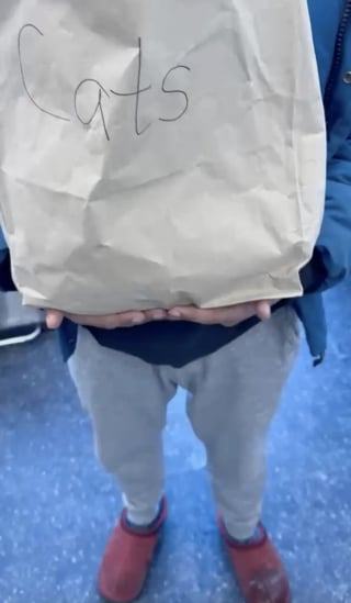 Illustration de l'article : Un trio de chatons passe de l'abandon dans un sac en papier au bord d'une autoroute à une nouvelle vie au sein de familles aimantes