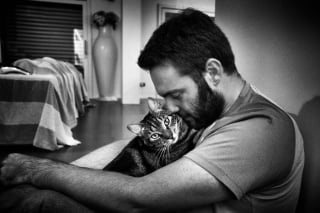 Illustration de l'article : 20 photos montrant des chats sous toutes leurs facettes