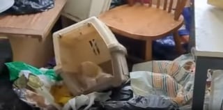 Illustration de l'article : Un chien aveugle et 5 chats sauvés d'un logement insalubre obtiennent une chance de vivre une vie meilleure