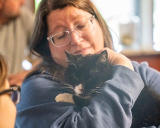 Illustration de l'article : Disparu pendant un an, ce chat a connu une vie d'errance avant de retrouver sa famille