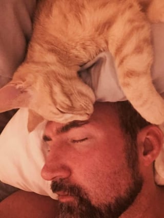 Illustration de l'article : Un homme reconnaissant rend un hommage poignant à son chat qui l’a sauvé d’une crise cardiaque (vidéo)