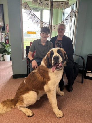 Illustration de l'article : Un Saint-Bernard abandonné au bord de l’autoroute prend sa revanche sur la vie (vidéo) 