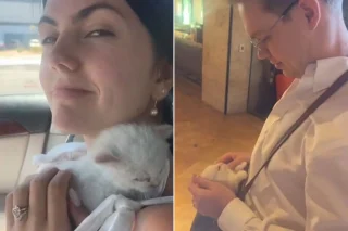 Illustration de l'article : Sur la route pour leur lune de miel, ce couple de jeunes mariés trouve un chaton abandonné et finit par l’adopter (vidéo)