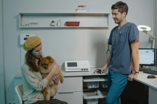 Illustration de l'article : 13 façons de faciliter son déménagement lorsque l’on a un animal de compagnie