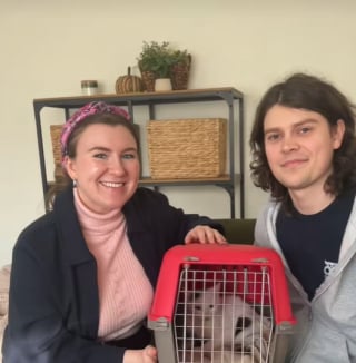 Illustration de l'article : La renaissance d’un chat couvert d’huile, qui a pris la meilleure des revanches sur la vie (vidéo) 