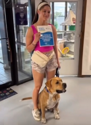 Illustration de l'article : Alors qu’on lui avait promis de revenir, ce chien a attendu 372 jours avant de croiser une femme à la recherche d’un oublié comme lui (vidéo)