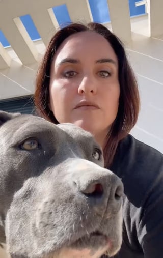 Illustration de l'article : « Une pratique à bannir » : spécialistes et influenceurs attirent notre attention sur un défi TikTok qui peut mettre en grand danger nos compagnons canins (vidéo)