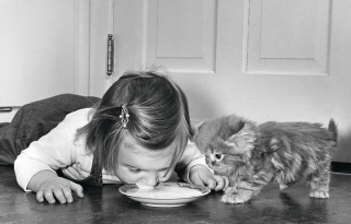 Illustration de l'article : 18 photos illustrant le lien unique entre les chats et les enfants