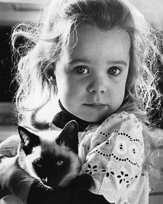 Illustration de l'article : 18 photos illustrant le lien unique entre les chats et les enfants