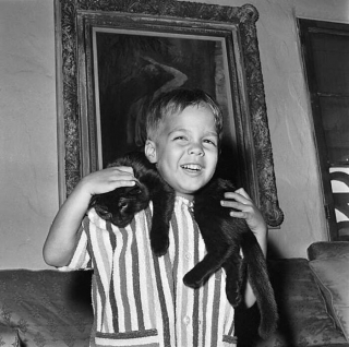 Illustration de l'article : 18 photos illustrant le lien unique entre les chats et les enfants