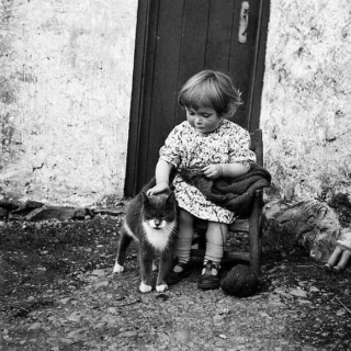 Illustration de l'article : 18 photos illustrant le lien unique entre les chats et les enfants