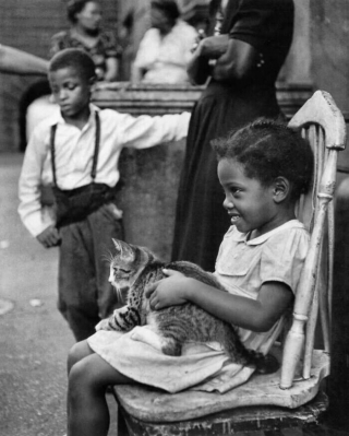 Illustration de l'article : 18 photos illustrant le lien unique entre les chats et les enfants