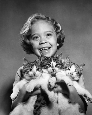 Illustration de l'article : 18 photos illustrant le lien unique entre les chats et les enfants