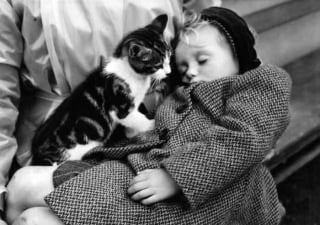 Illustration de l'article : 18 photos illustrant le lien unique entre les chats et les enfants