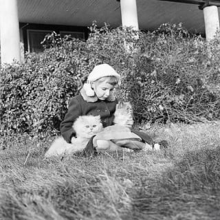 Illustration de l'article : 18 photos illustrant le lien unique entre les chats et les enfants