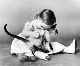 Illustration de l'article : 18 photos illustrant le lien unique entre les chats et les enfants