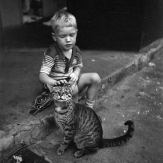 Illustration de l'article : 18 photos illustrant le lien unique entre les chats et les enfants